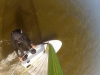 screen-shot-2012-09-24-at-21-48-31-copy
