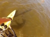 screen-shot-2013-09-29-at-19-58-07-copy