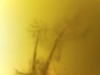 screen-shot-2013-09-29-at-20-05-59